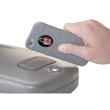 HORNADY Rapid Safe Rfid Sticker (2 Pk) (98168)