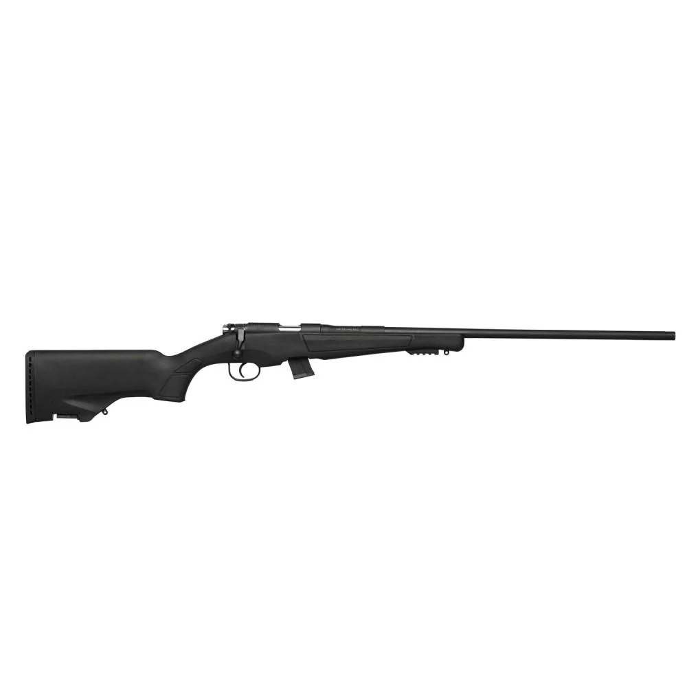 Escort 22LR Rifle 25″ Barrel, 10rd Mags (2) Black