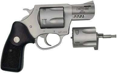 Mag Pug & Pit Bull Combo, 9MM, 2.20" Barrel, 5 Rds, Stainless Steel