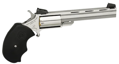 Mini-Master, .22LR, 4.00" Barrel, 5 Rds, Stainless Steel