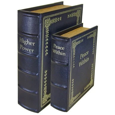 PS Products PS Products, Diversion Books, Small/Medium and Large Handguns, Set of 2, Black DB2BLK