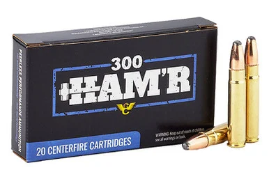 Wilson 300 HAM'R, 130gr Speer Hot-Core, 20-Round Box