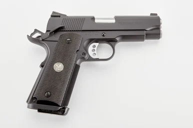 Wilson Professional, .45 ACP, 4.00" Barrel, 8+1 Rds, Black